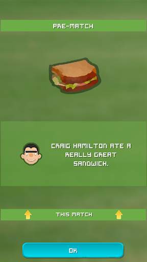 Village Cricket screenshot 2