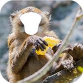 Apes Photo Editor 1.0.1