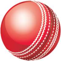 Cricket Speed Gun