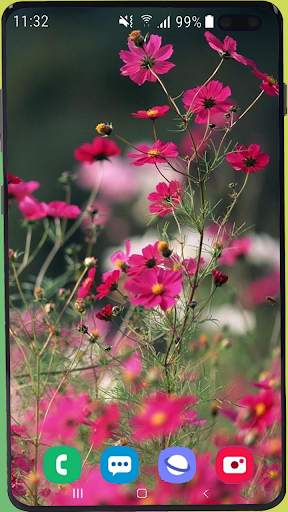 Flowers Wallpaper Best HD screenshot 14