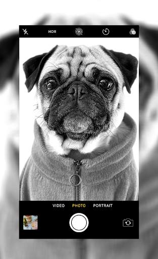 Selfie Camera iphone 15 screenshot 2