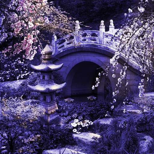 Mystic Sakura Live Wallpaper 1.0.8