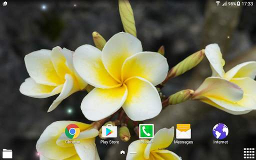 Tropical Flower Live Wallpaper screenshot 7