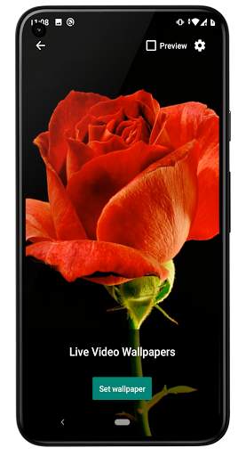 Live Video Wallpapers - free video wallpaper maker screenshot 3