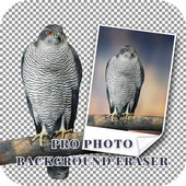 Pro Photo Background Eraser أيقونة