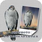 Pro Photo Background Eraser on 9Apps