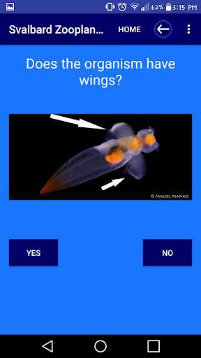Svalbard Zooplankton Identification App screenshot 3