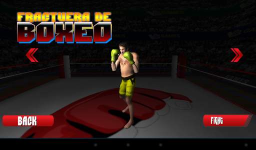 3D Boxing screenshot 2