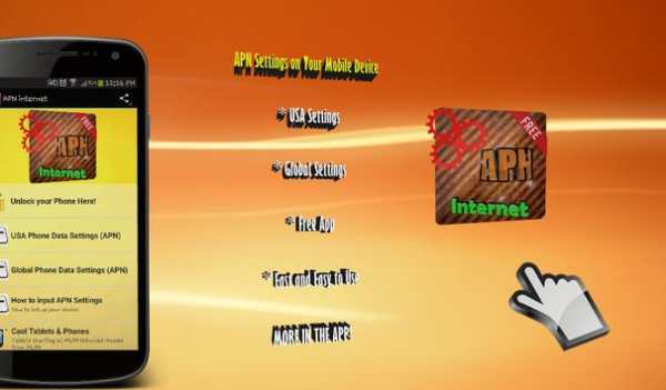 APN internet screenshot 2
