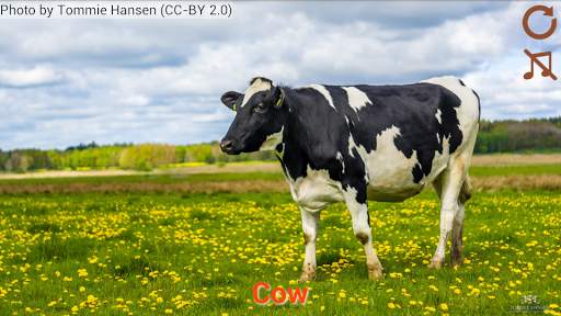 Domestic animals for kids screenshot 3