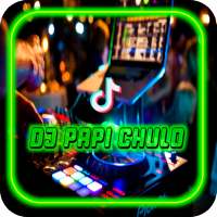 DJ Papi Chulo Remix Tiktok