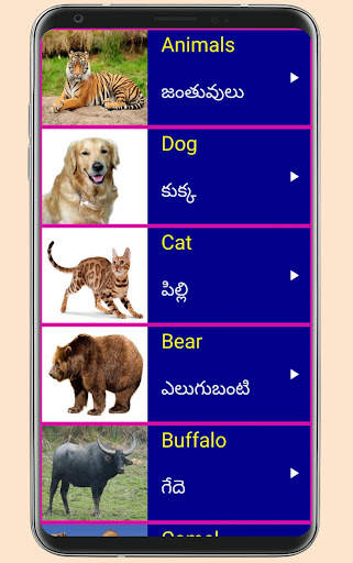 Learn English From Telugu screenshot 5