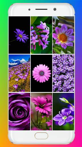 Purple Flower Wallpaper screenshot 1