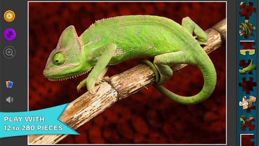 HD Jigsaw Puzzles - No Wifi screenshot 4