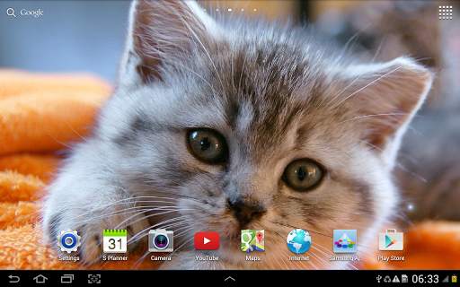 Cute Animals Live Wallpaper screenshot 9