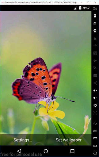 Ladybug 3D Live Wallpaper 7 تصوير الشاشة