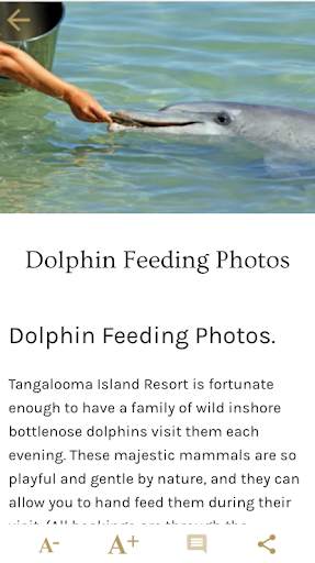 Tangalooma Photo Shop screenshot 4