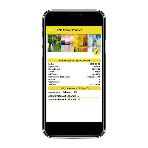 Vespa Velutina screenshot 24