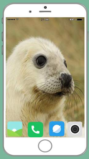 Harb Seal Full HD Wallpaper screenshot 15