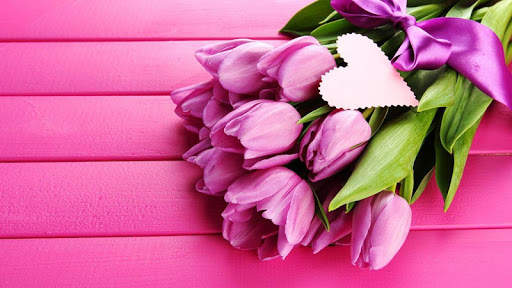 Pink Tulips Live Wallpaper screenshot 6