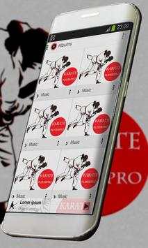 Karate Music Player Skin screenshot 4