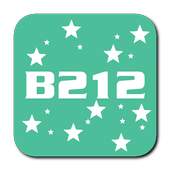 B212 - Selfie Camera 1.0