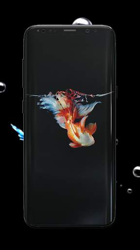 Betta Fish Wallpaper screenshot 2