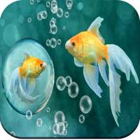 Fish Wallpapers on 9Apps
