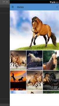 Horse Wallpapers 2017 screenshot 2