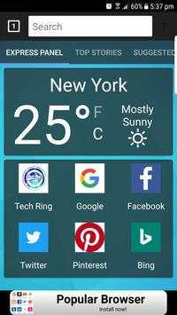 Sapphire - Web Browser screenshot 1