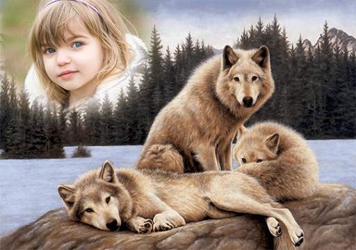 Animal Photo Frame screenshot 6