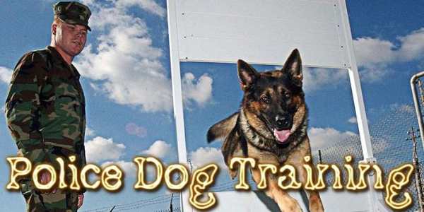 Police Dog Training Sim 2015 screenshot 8
