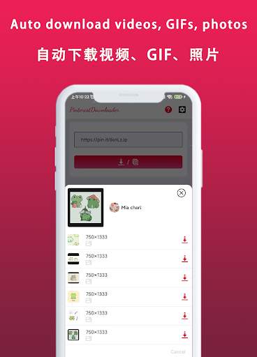 Downloader For Pinterest screenshot 2