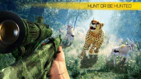 3D Sniper Hunter : Wild Safari screenshot 1