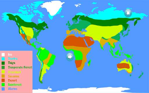 Animal World Map 6 -12 years screenshot 9