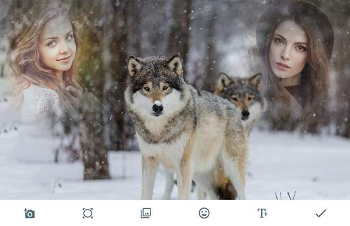 Wolf Photo Frames 1 تصوير الشاشة