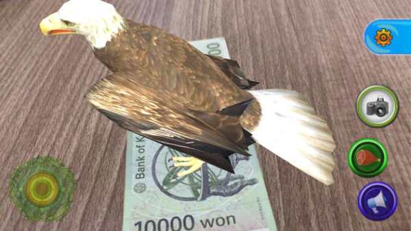 AR Birds( Cardboard)  for kids screenshot 4