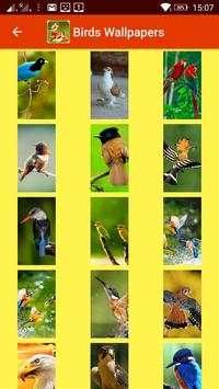 Birds HD Photo Frames and Live Wallpapers screenshot 15
