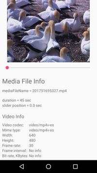 Video & Audio Editor screenshot 2