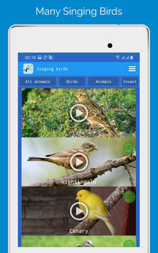 Singing Birds स्क्रीनशॉट 5