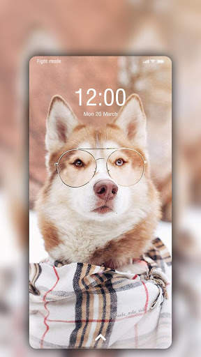 Husky Wallpaper screenshot 2