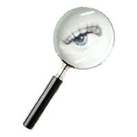 Web Spy on 9Apps