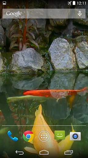 Koi Pond Video Live Wallpaper screenshot 2