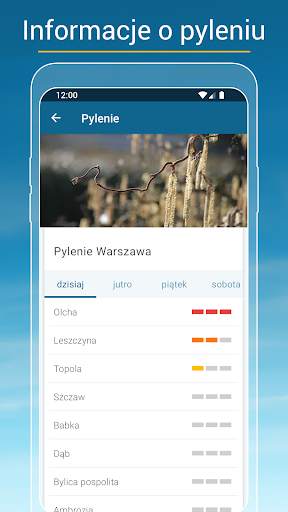 Pogoda & Radar: pogoda i smog screenshot 4