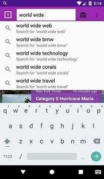 World Wide Web screenshot 3
