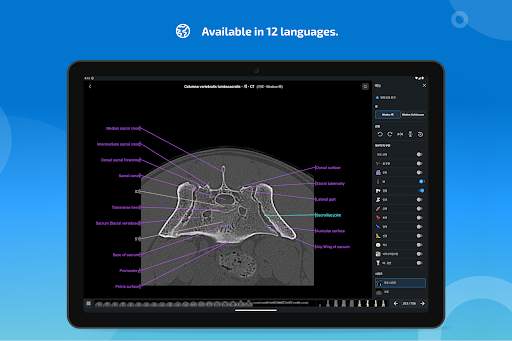 vet-Anatomy screenshot 14