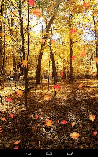 Autumn Wallpaper screenshot 7