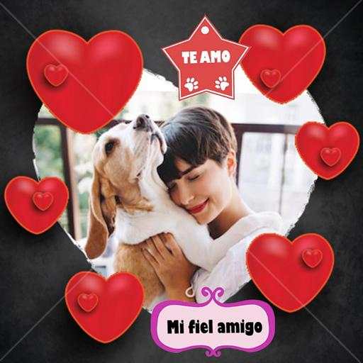 Pets photo editor screenshot 11
