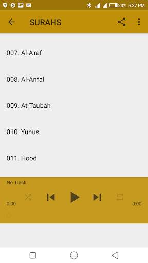 Saad Al-Ghamidi Mp3 Quran screenshot 5