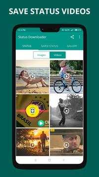 Status Downloader screenshot 1